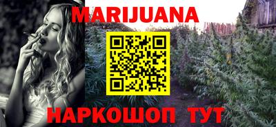 индика Усть-Джегута