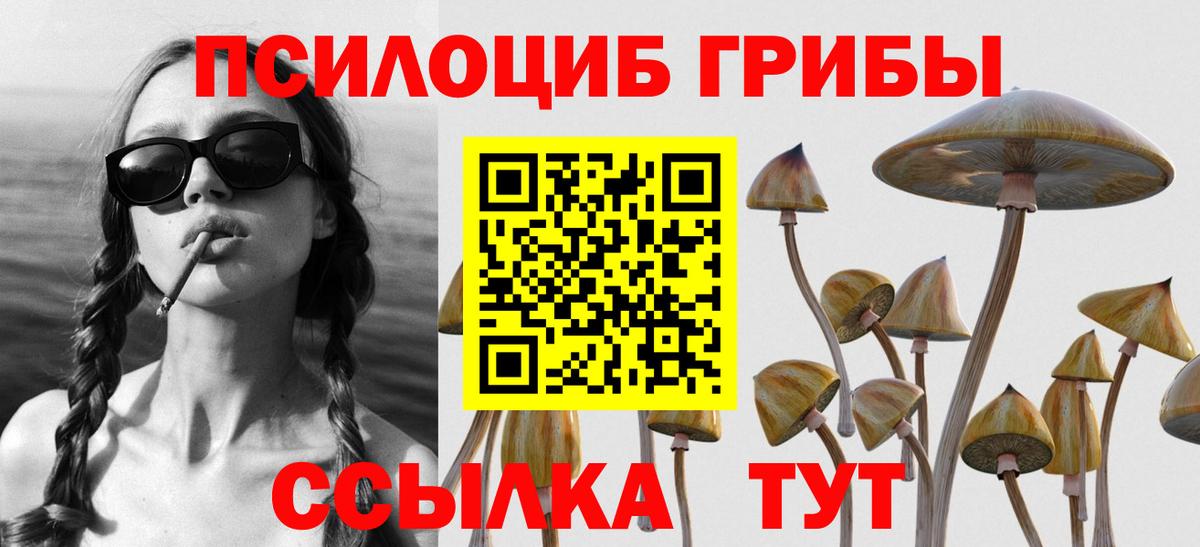 Галлюциногенные грибы прущие грибы Ачхой-Мартан