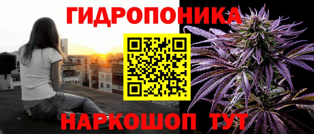 Конопля OG Kush  Канабис AK-47  Ачхой-Мартан  Каннабис тримм 